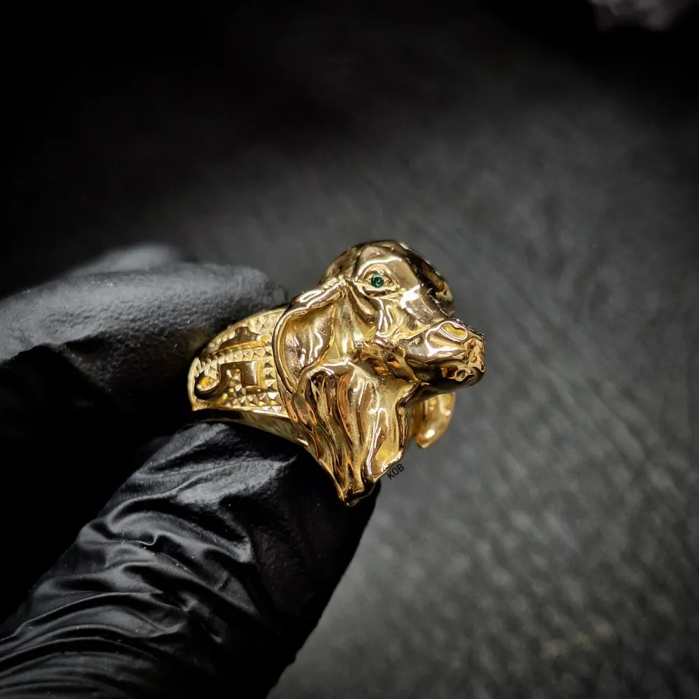ANILLO DE CEBÚ