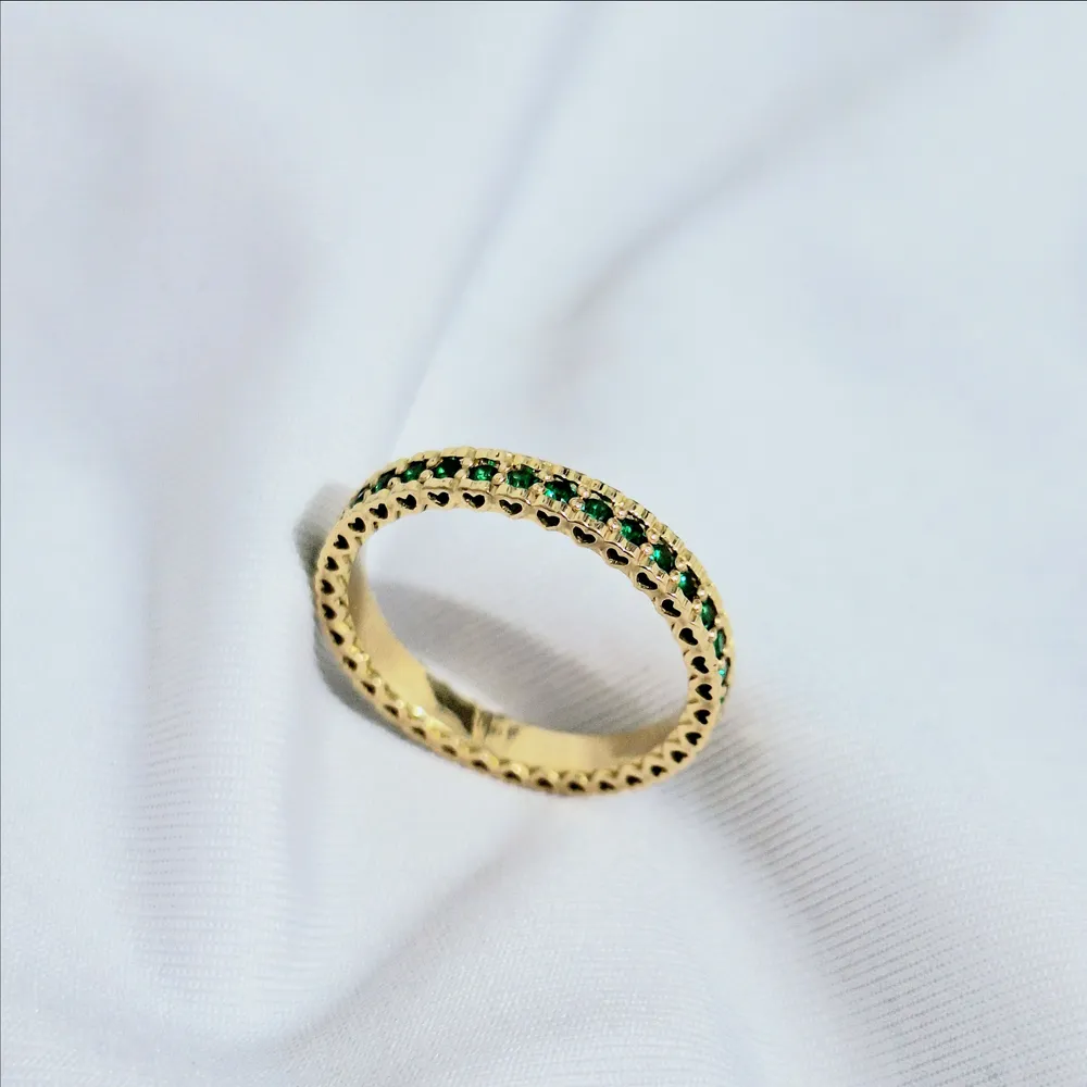 ANILLO SIN FIN